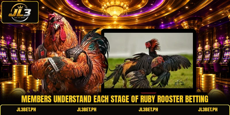 Members understand each stage of ruby rooster betting